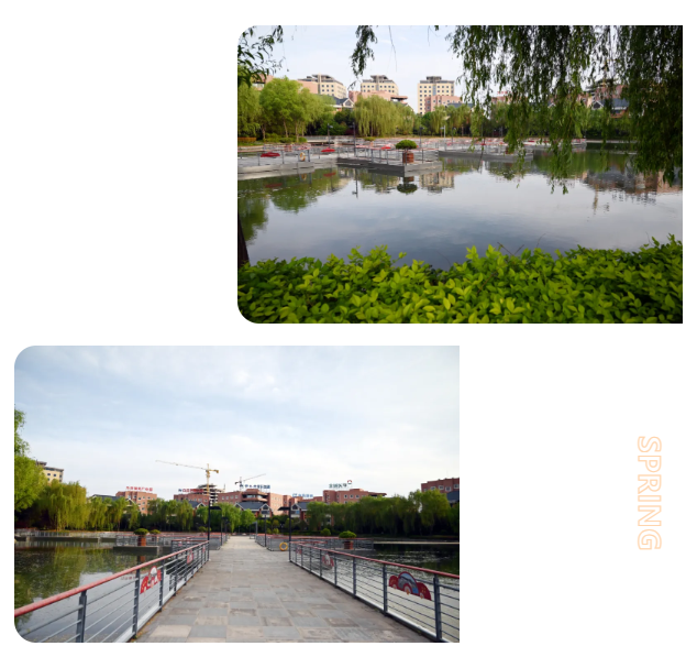 1720234087878793.png image.png